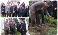 Arbor Day celebrated in Guilan Road Trauma Research Center