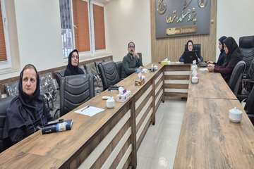 دیپلم پژوهشی 