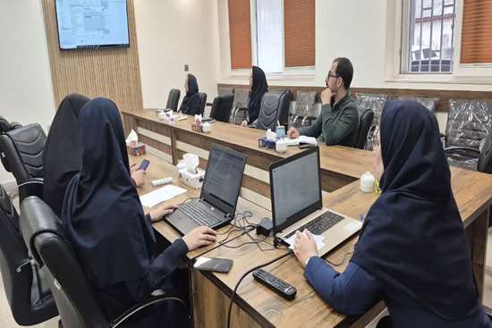 دیپلم پژوهشی  